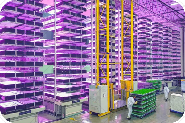 供應商,業務需求